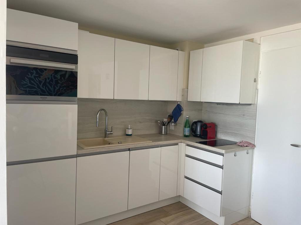 Appt T1 Bis, Terrasse Face Mer, Renove, Climatise * Leucate